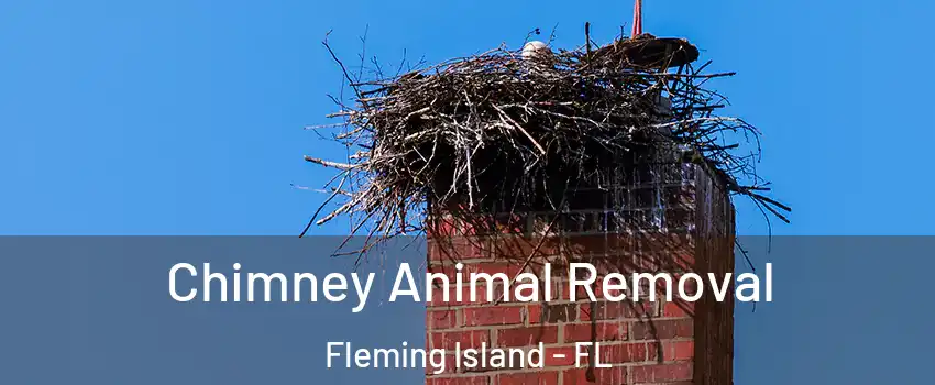  Chimney Animal Removal Fleming Island - FL