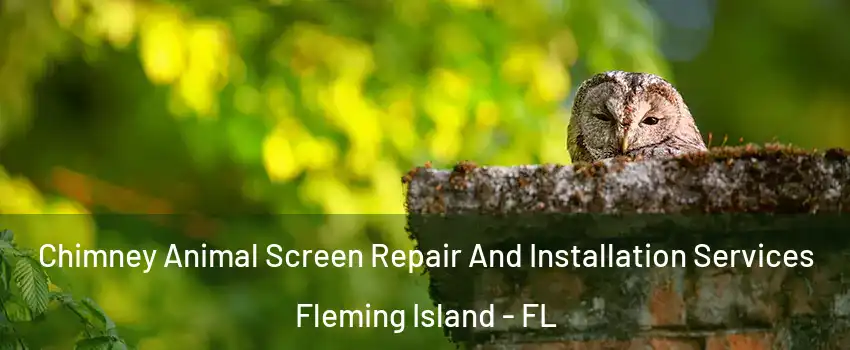  Chimney Animal Screen Repair And Installation Services Fleming Island - FL