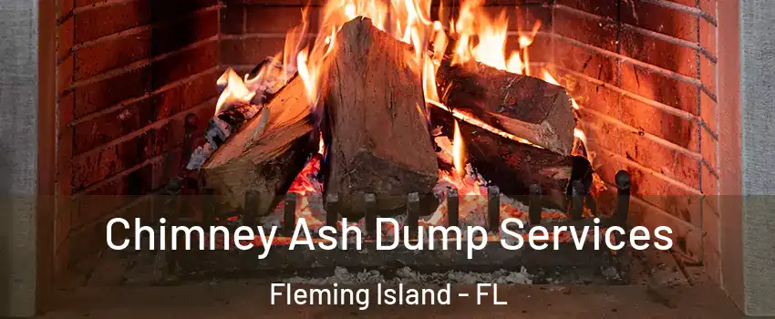  Chimney Ash Dump Services Fleming Island - FL