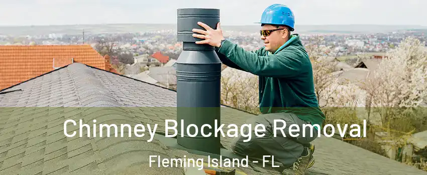  Chimney Blockage Removal Fleming Island - FL