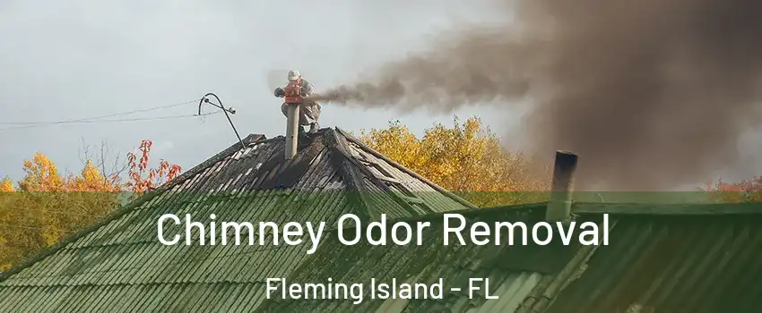  Chimney Odor Removal Fleming Island - FL