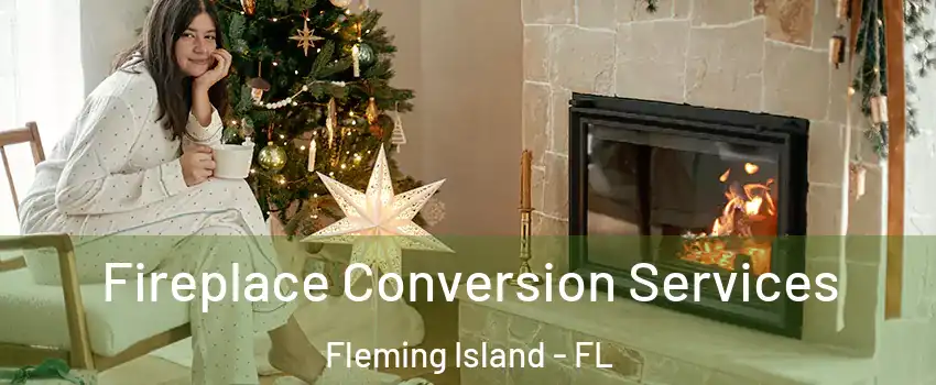  Fireplace Conversion Services Fleming Island - FL