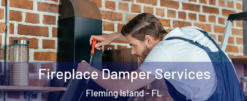  Fireplace Damper Services Fleming Island - FL