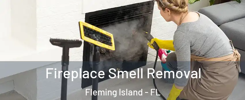  Fireplace Smell Removal Fleming Island - FL