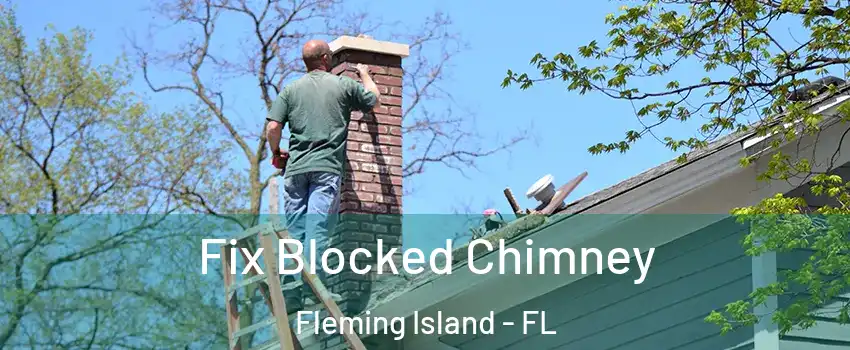  Fix Blocked Chimney Fleming Island - FL