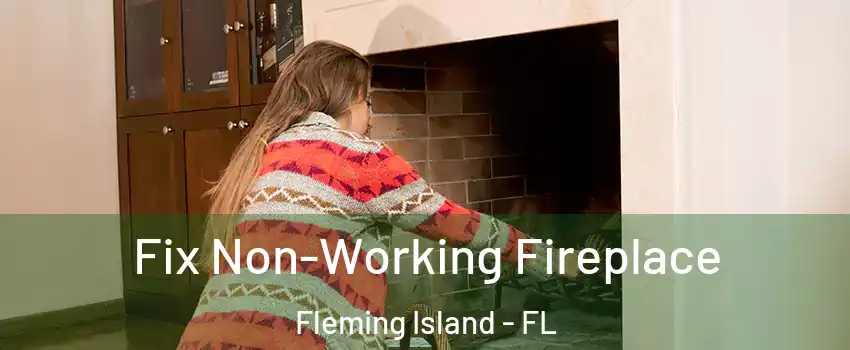  Fix Non-Working Fireplace Fleming Island - FL