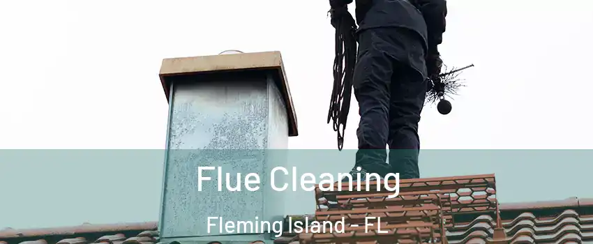  Flue Cleaning Fleming Island - FL