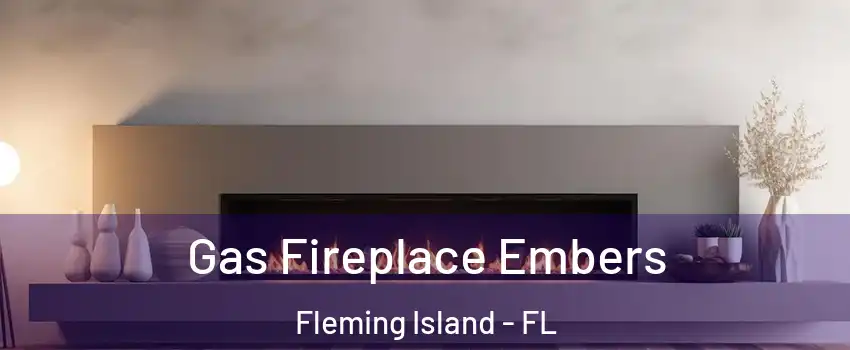 Gas Fireplace Embers Fleming Island - FL