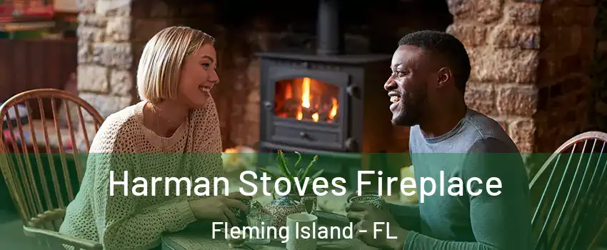  Harman Stoves Fireplace Fleming Island - FL