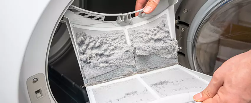Best Dryer Lint Removal Company in Fleming Island, Florida