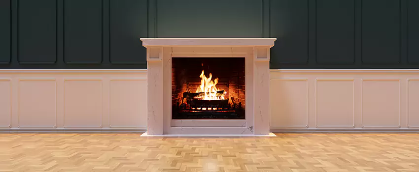 Napoleon Electric Fireplaces Inspection Service in Fleming Island, Florida