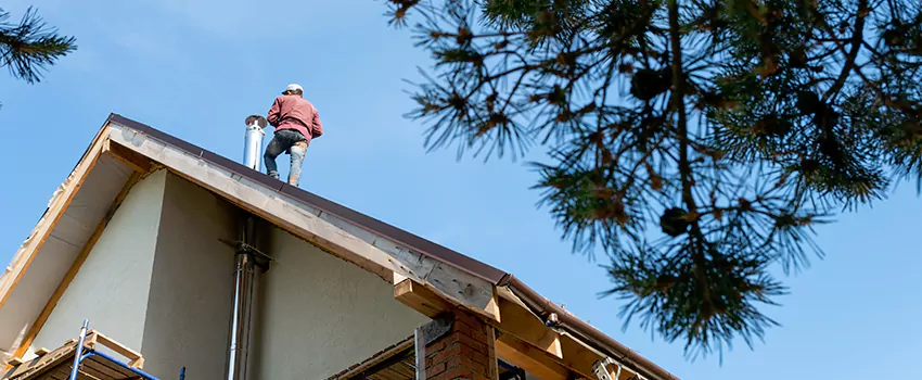 Birds Removal Contractors from Chimney in Fleming Island, FL
