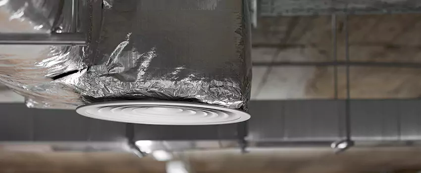 Signs of Dust Accumulation in Vents in Fleming Island, FL