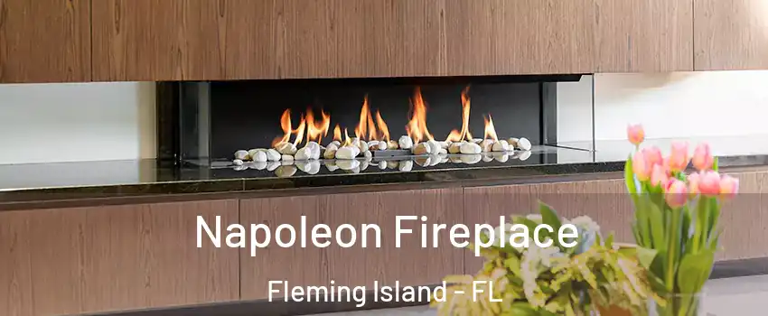  Napoleon Fireplace Fleming Island - FL