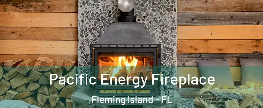  Pacific Energy Fireplace Fleming Island - FL